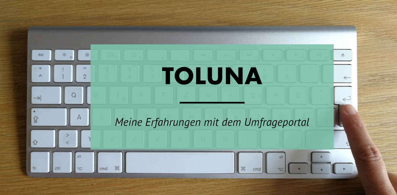 Toluna - Meine Erfahrungen mit dem Umfrageportal
